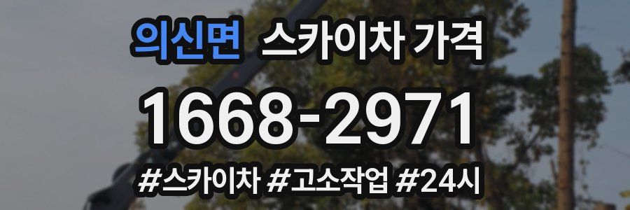 의신면 스카이차 가격