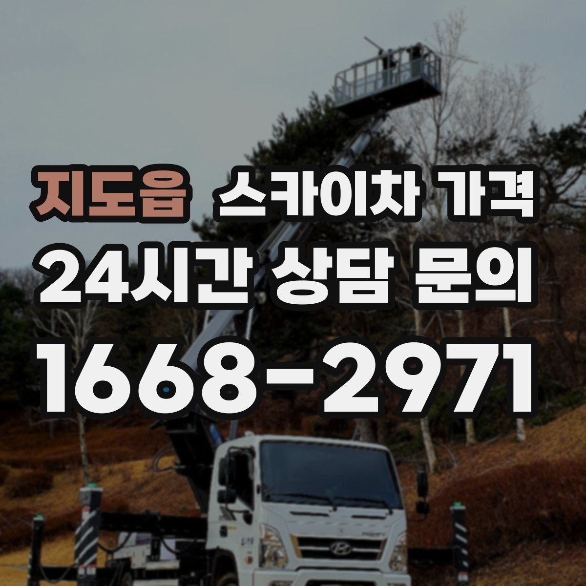 지도읍 스카이차 가격