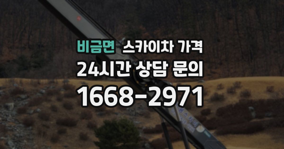 비금면 스카이차 가격