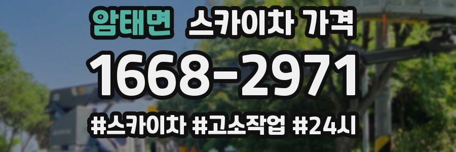 암태면 스카이차 가격