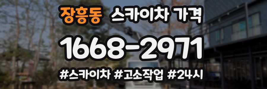 장흥동 스카이차 가격