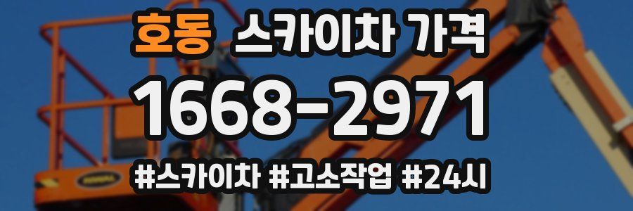 호동 스카이차 가격