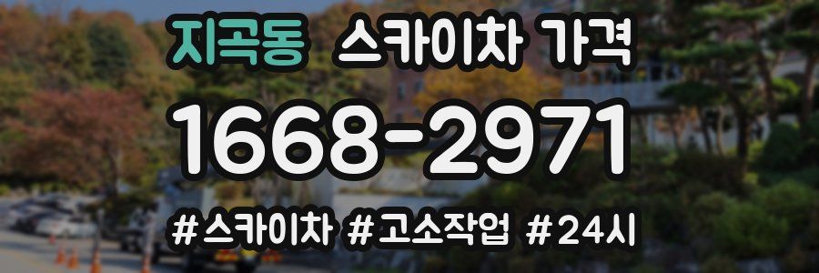 지곡동 스카이차 가격