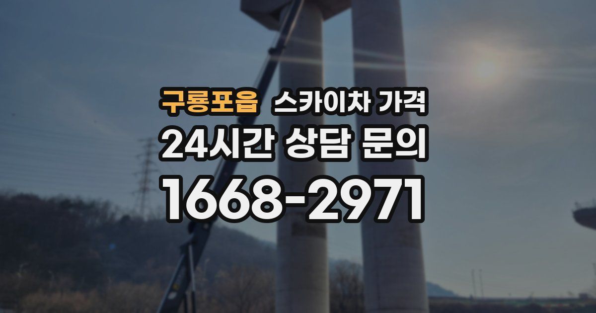 구룡포읍 스카이차 가격