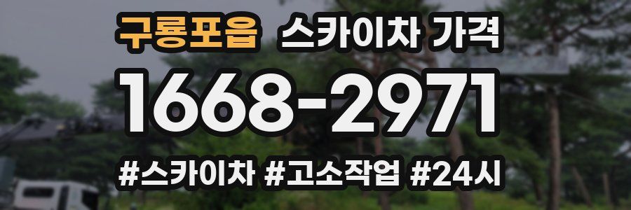 구룡포읍 스카이차 가격