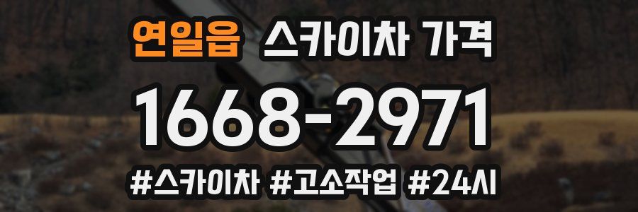 연일읍 스카이차 가격