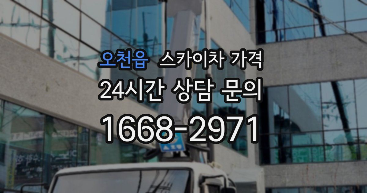 오천읍 스카이차 가격