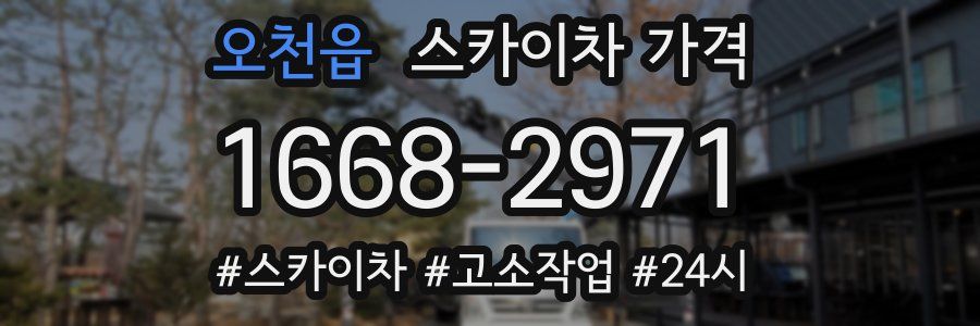 오천읍 스카이차 가격