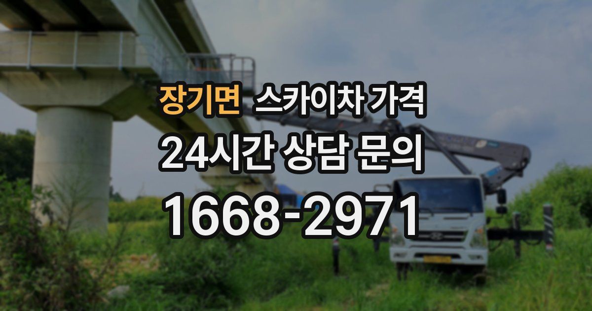 장기면 스카이차 가격