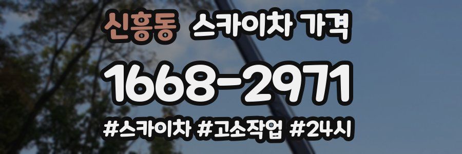 신흥동 스카이차 가격