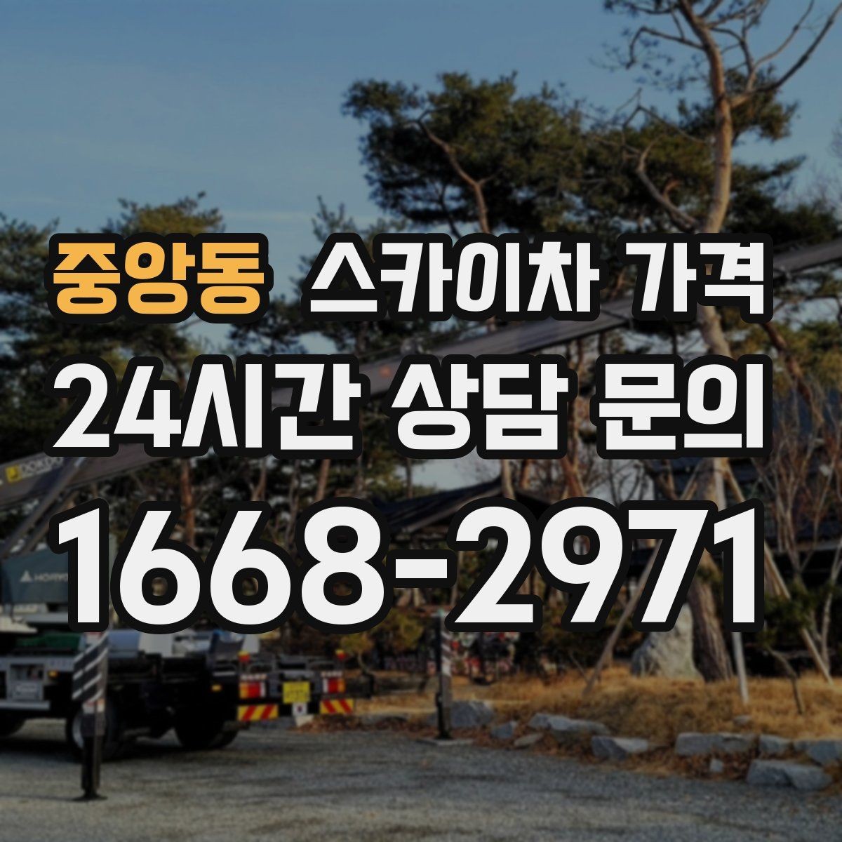 중앙동 스카이차 가격 비용보다 안전이 먼저인 이유 정리