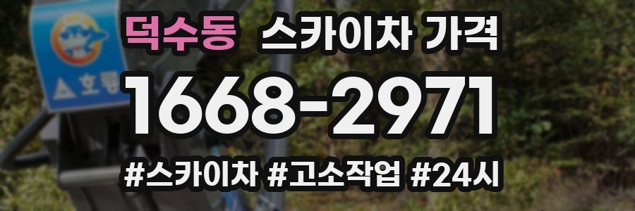 덕수동 스카이차 가격