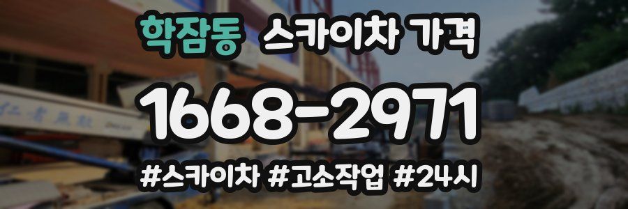 학잠동 스카이차 가격