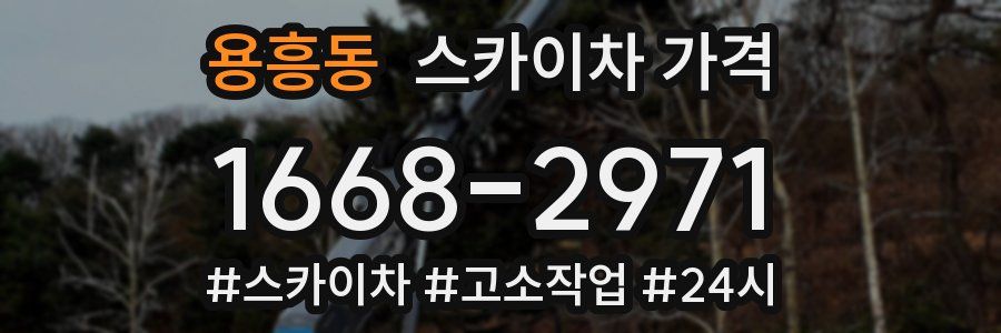 용흥동 스카이차 가격