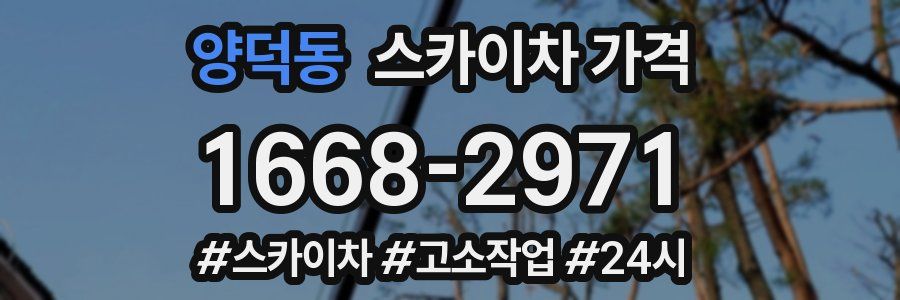 양덕동 스카이차 가격