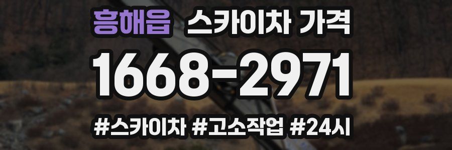 흥해읍 스카이차 가격