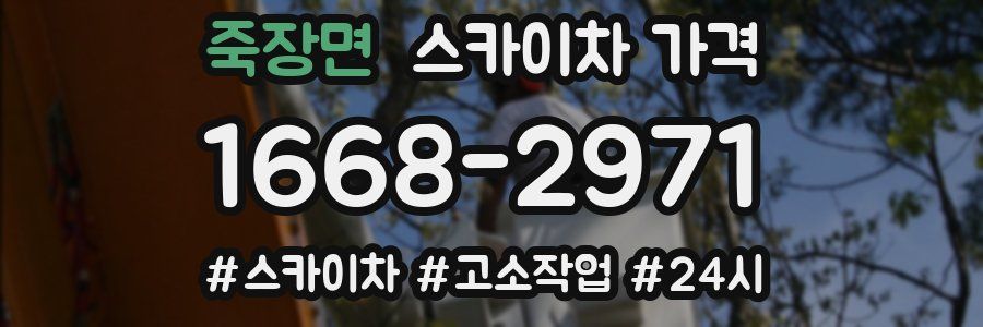 죽장면 스카이차 가격