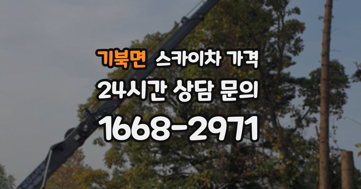 기북면 스카이차 가격