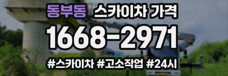 동부동 스카이차 가격