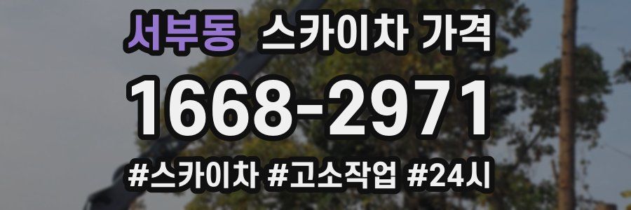 서부동 스카이차 가격