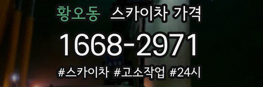 황오동 스카이차 가격