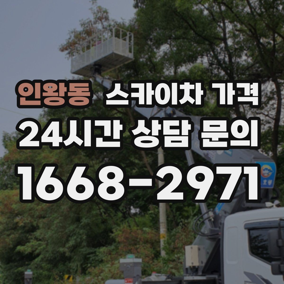 인왕동 스카이차 가격 나무 전지 작업은 가지 위치가 변수가 됩니다