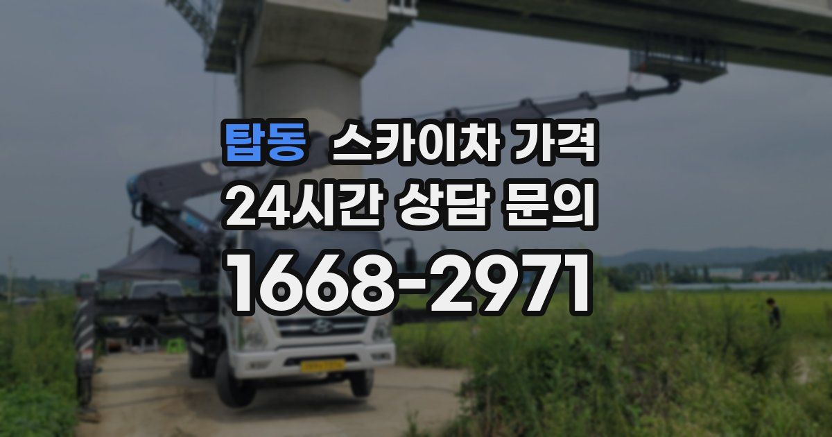 탑동 스카이차 가격