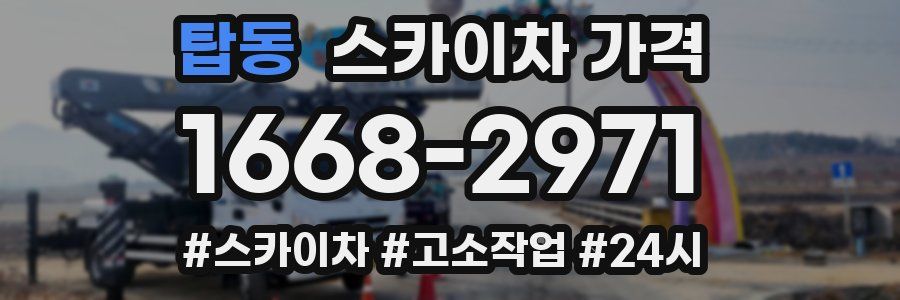 탑동 스카이차 가격