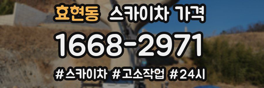 효현동 스카이차 가격