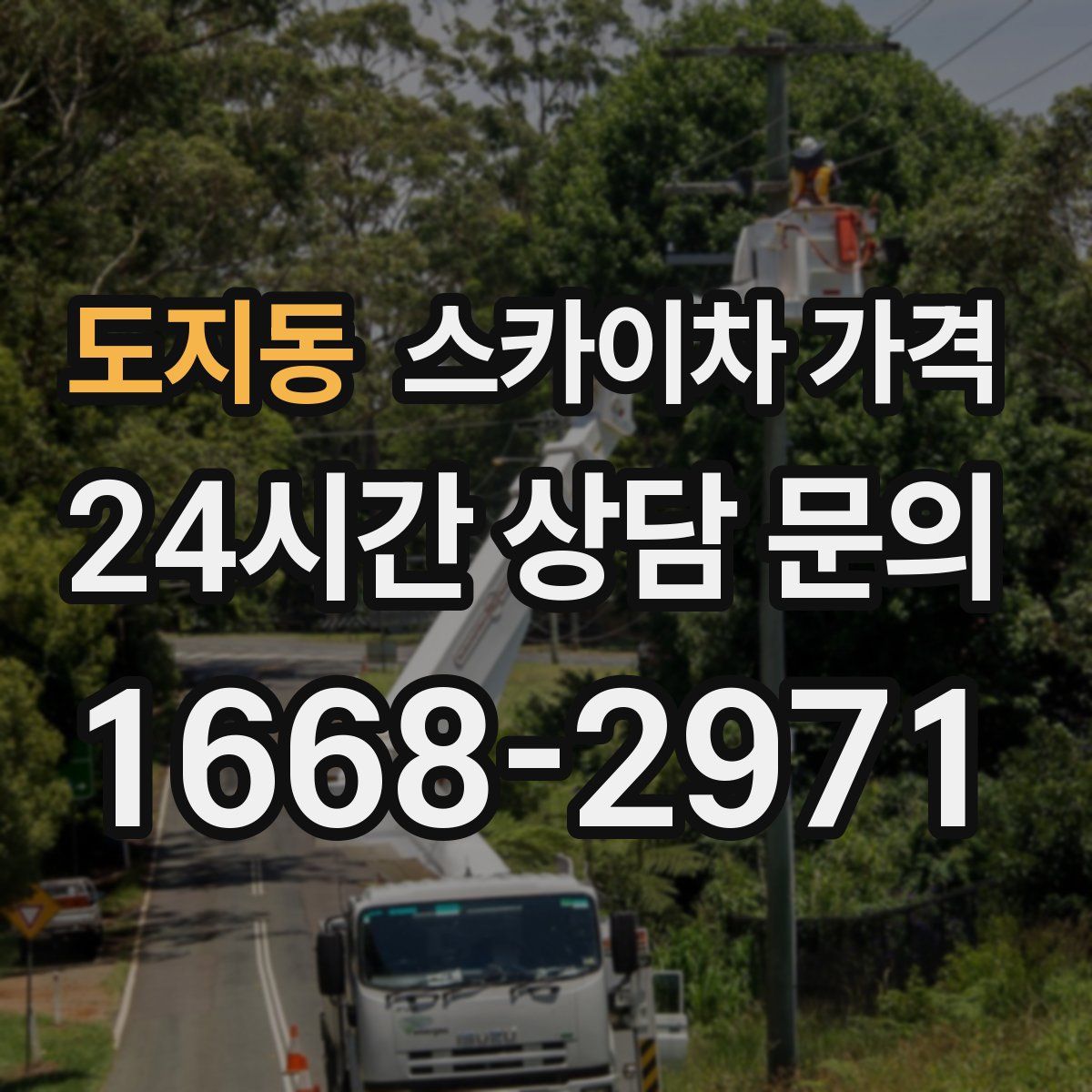 도지동 스카이차 가격