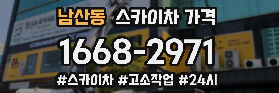 남산동 스카이차 가격