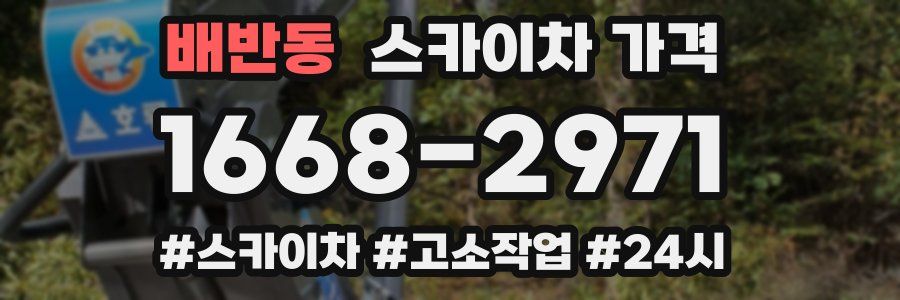 배반동 스카이차 가격