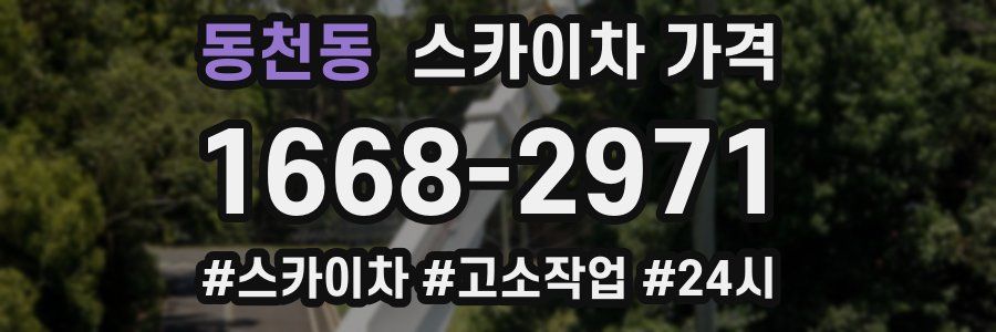 동천동 스카이차 가격