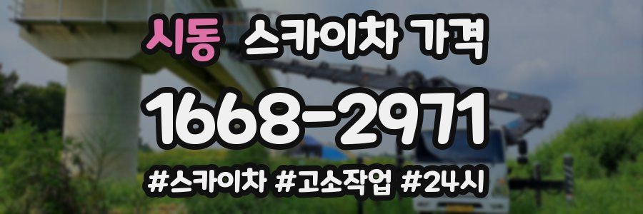 시동 스카이차 가격