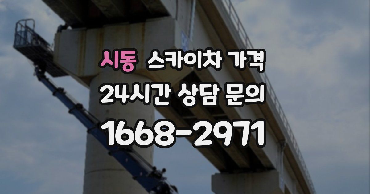 시동 스카이차 가격