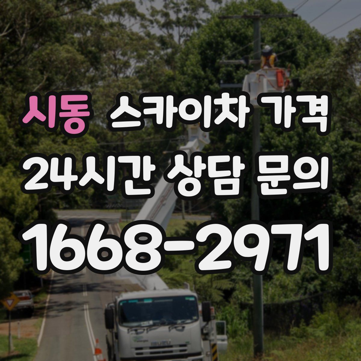 시동 스카이차 가격