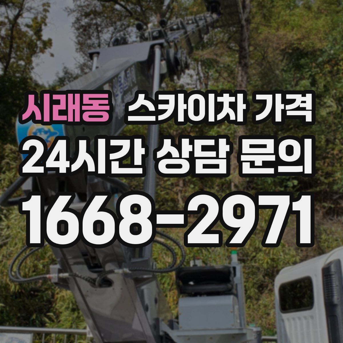 시래동 스카이차 가격