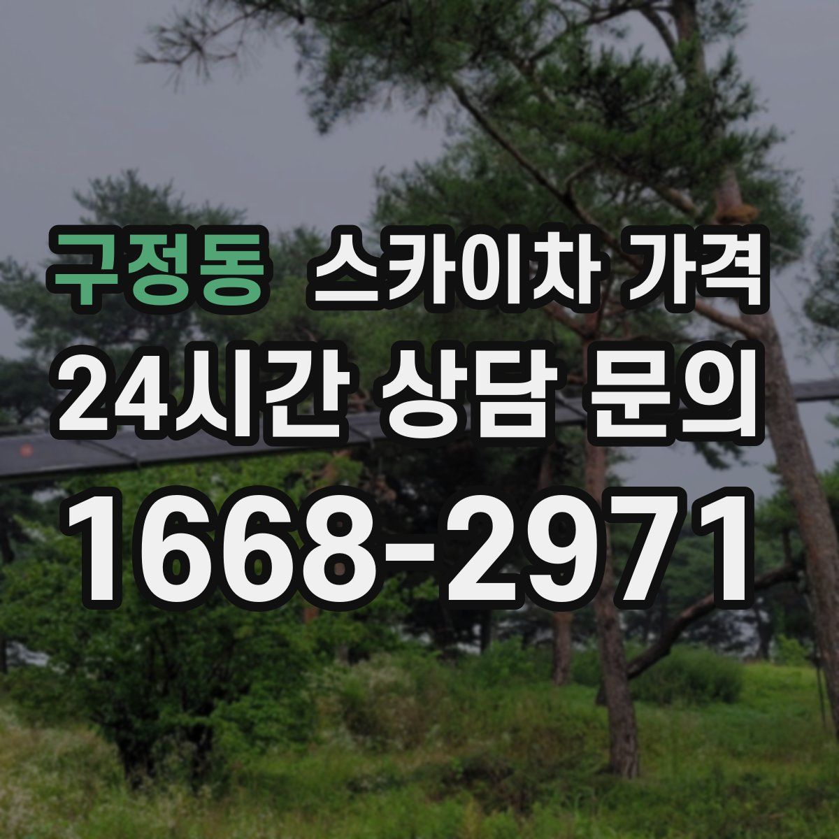 구정동 스카이차 가격