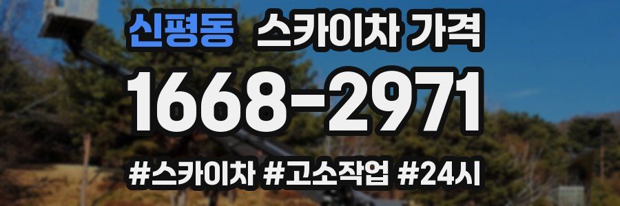 신평동 스카이차 가격