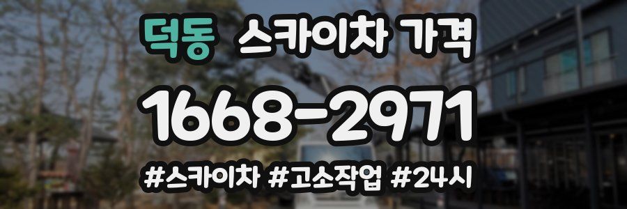 덕동 스카이차 가격