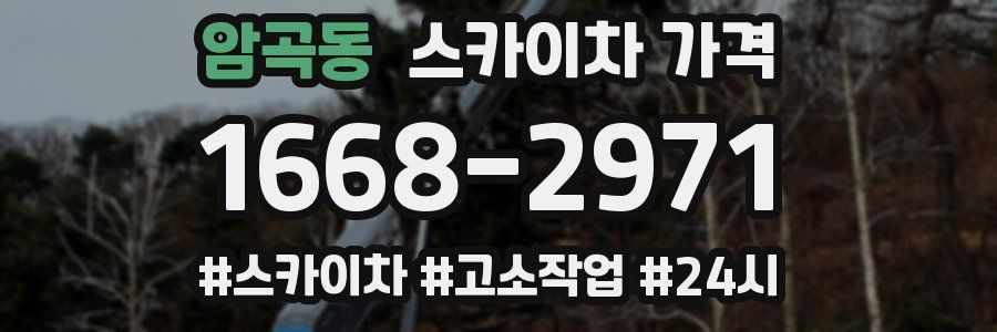 암곡동 스카이차 가격