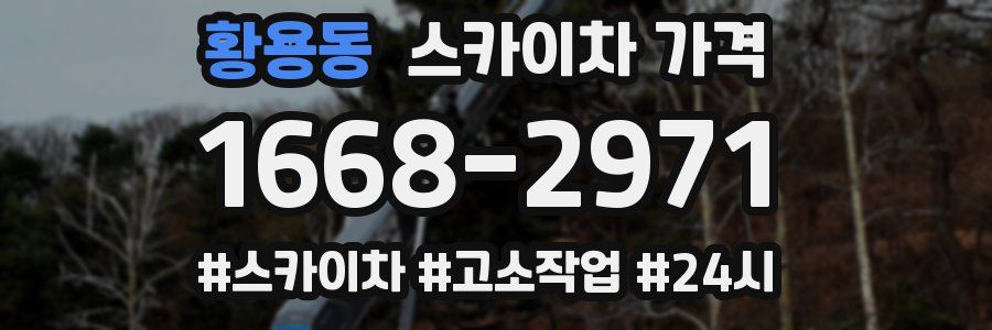 황용동 스카이차 가격