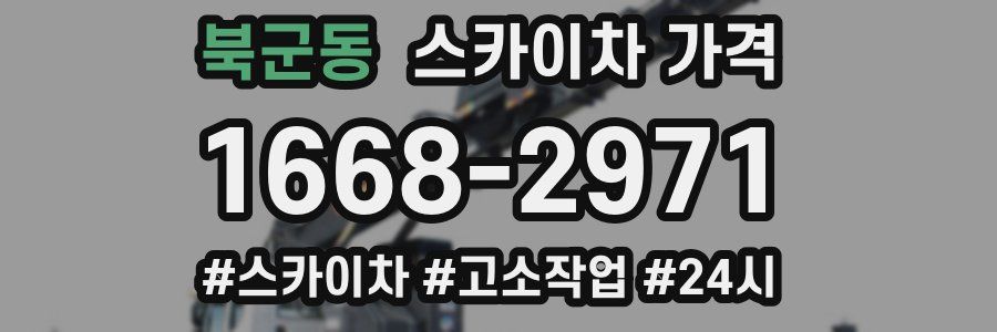 북군동 스카이차 가격