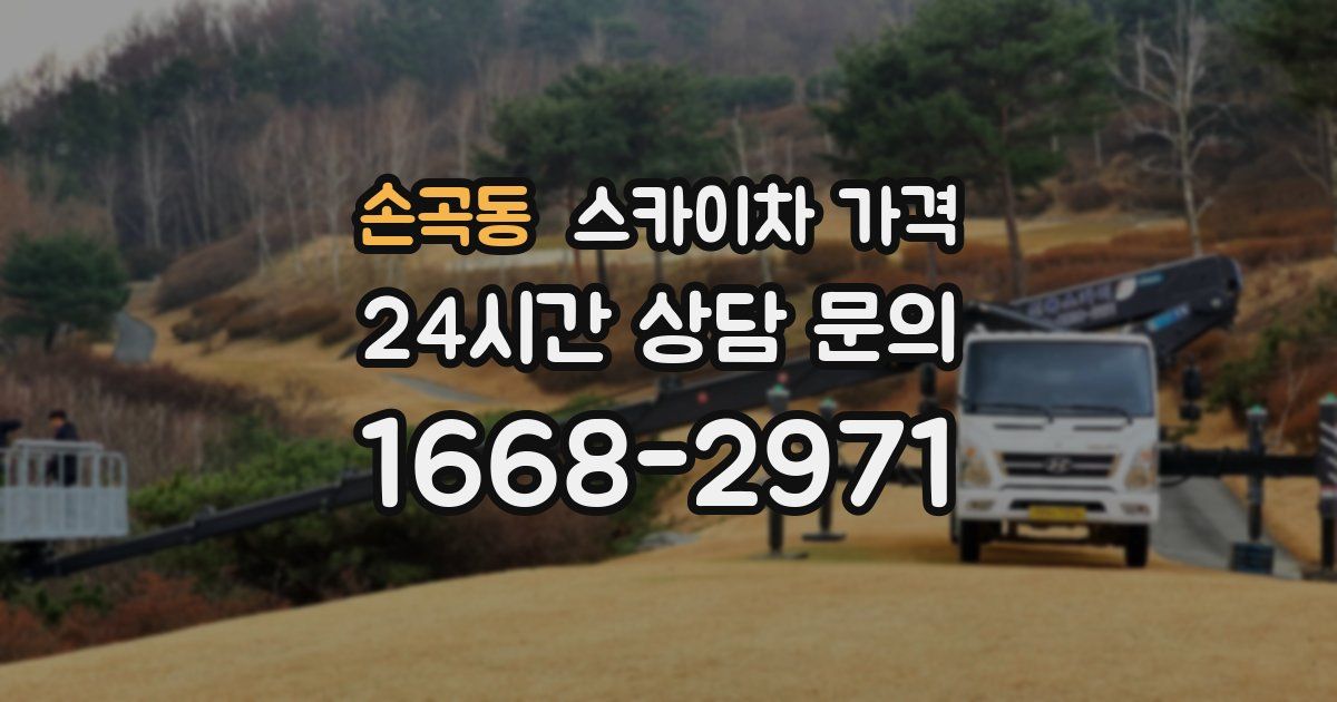 손곡동 스카이차 가격