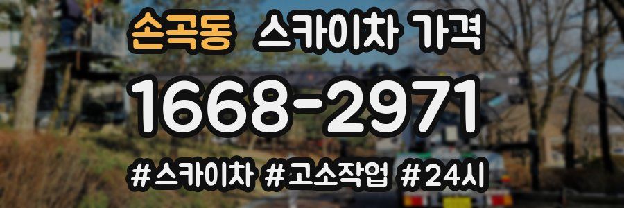 손곡동 스카이차 가격