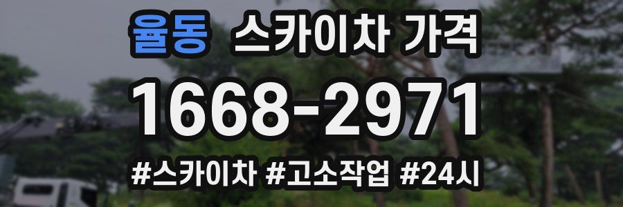 율동 스카이차 가격