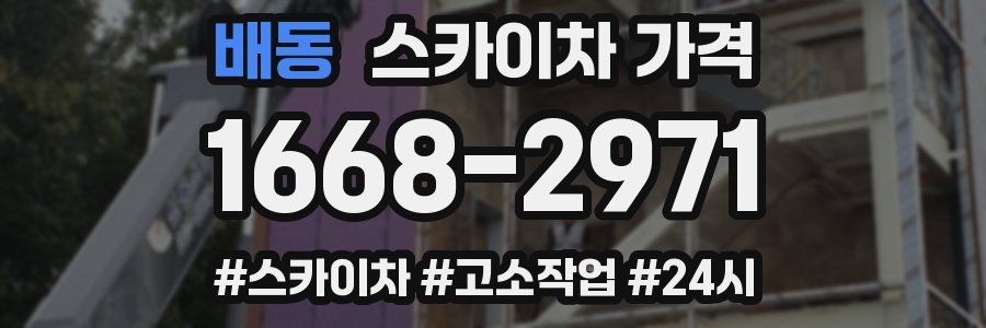 배동 스카이차 가격