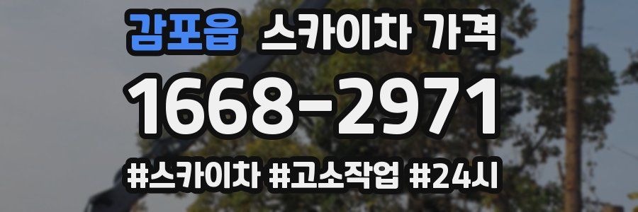 감포읍 스카이차 가격