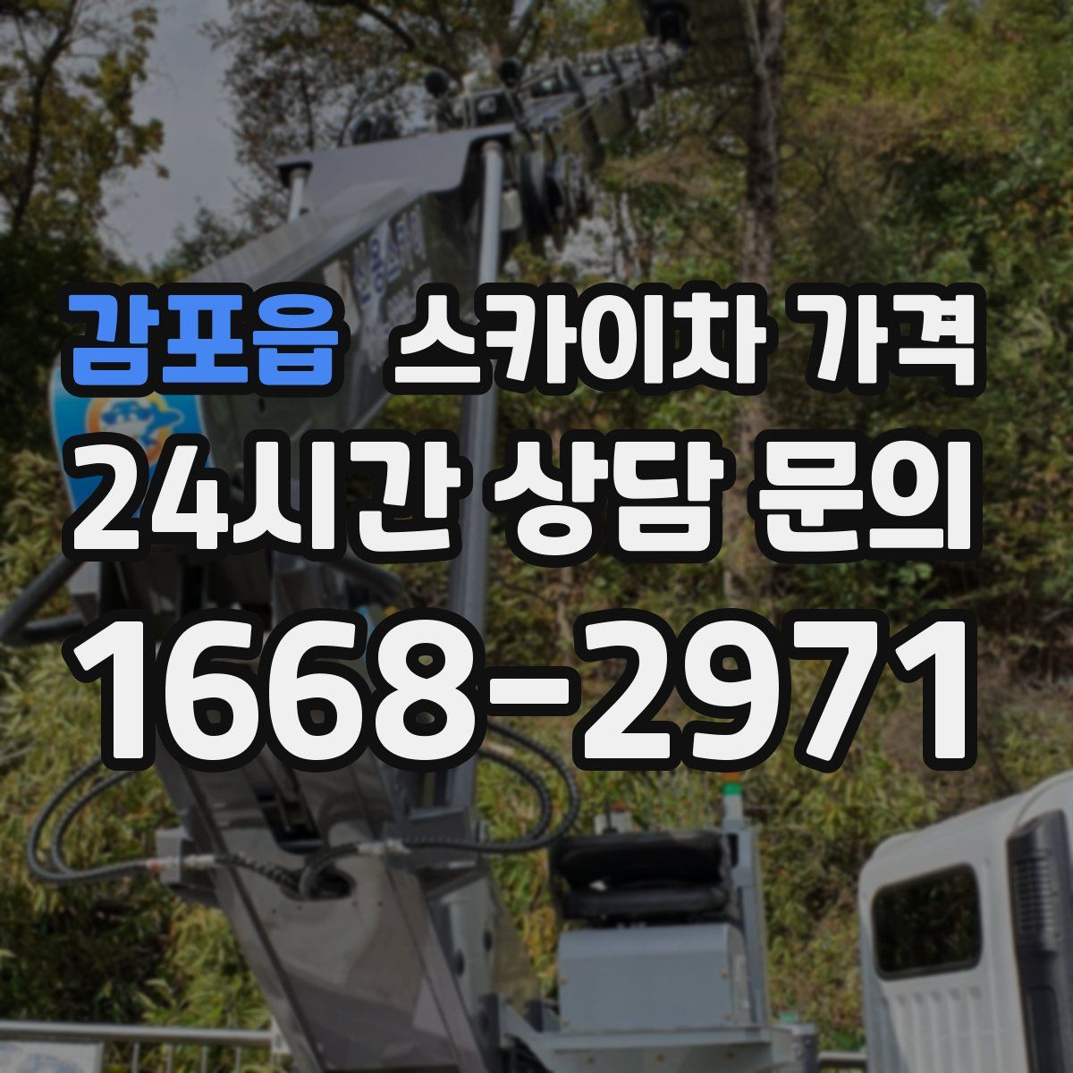 감포읍 스카이차 가격