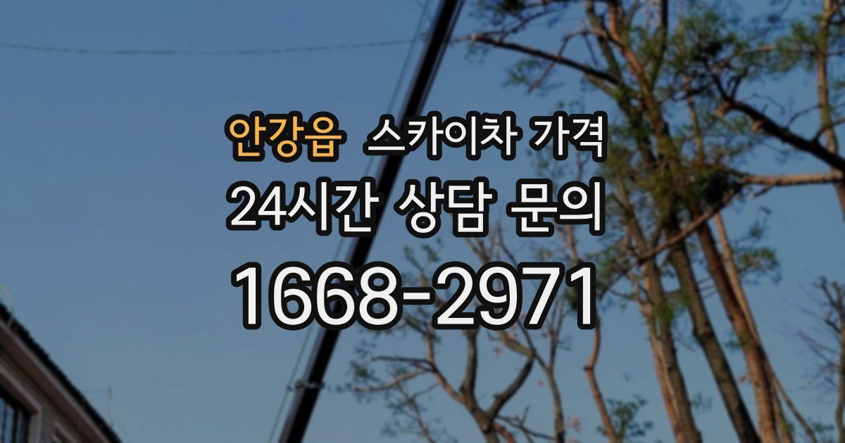 안강읍 스카이차 가격